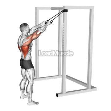 Band Standing Straight Arm Pulldown
