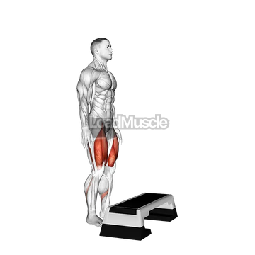 Bodyweight Step-up on Stepbox