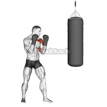 Boxing Jab (with boxing bag)