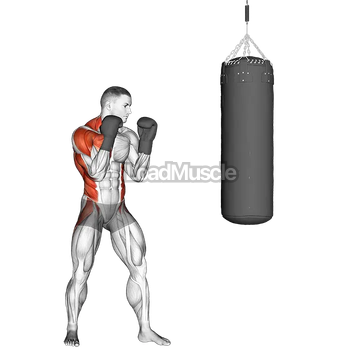 Boxing Right Cross (with boxing bag)
