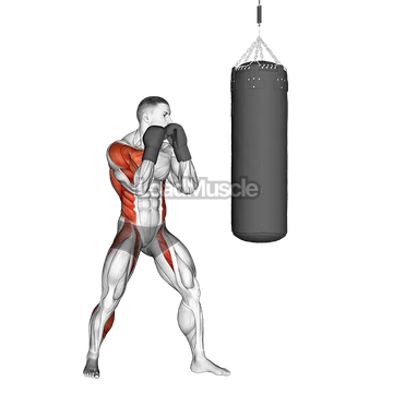Boxing Right Hook (with boxing bag)