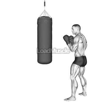 Front Groin Kick Kickboxing (with boxing bag)