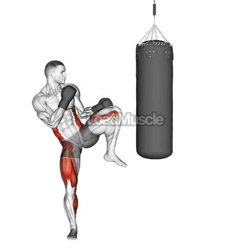 Front Kick Kickboxing (with boxing bag)