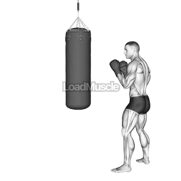 Front Snap Kick Kickboxing (with boxing bag)