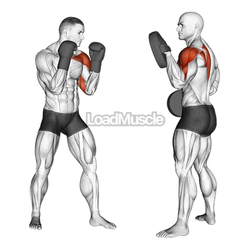 Boxing Jab (with partner)