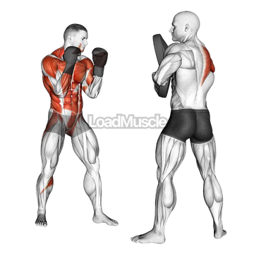 Boxing Right Cross (with partner)