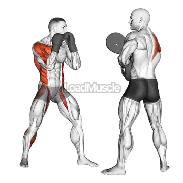 Boxing Right Hook (with partner)