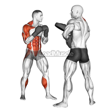 Boxing Right Uppercut (with partner)