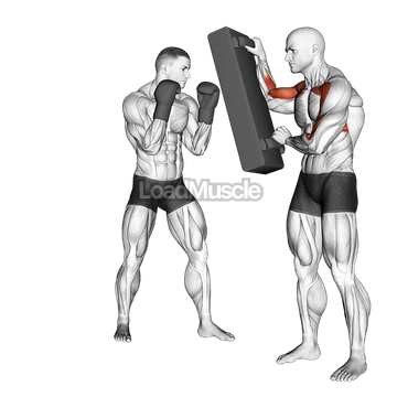 Hook Kick Kickboxing (with partner)