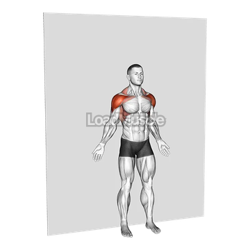 Bodyweight Standing Around World Wall Supported