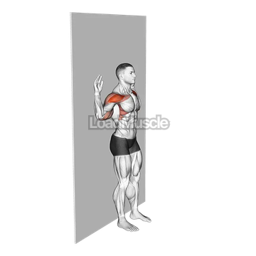 Bodyweight Standing Military Press Wall Supported