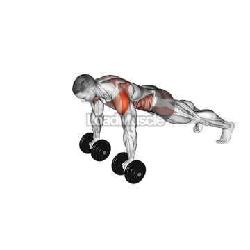 Dumbbell Front Plank Arm Raise