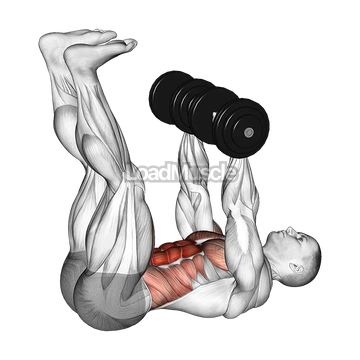 Dumbbell Crunch-up