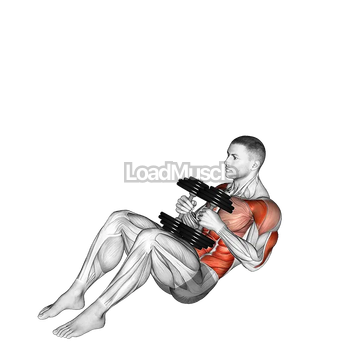 Dumbbell Russian Twist Close Grip Shoulder Press Sit-up