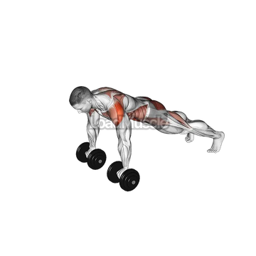 Dumbbell Front Plank Arm Leg Raise