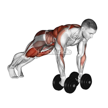 Dumbbell Renegade Row to Squat