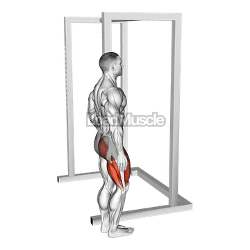 Standing Single Leg High Knee To Butt Kick With Support