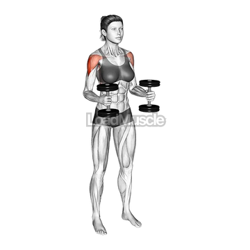 Dumbbell Bent Arm Lateral Raise