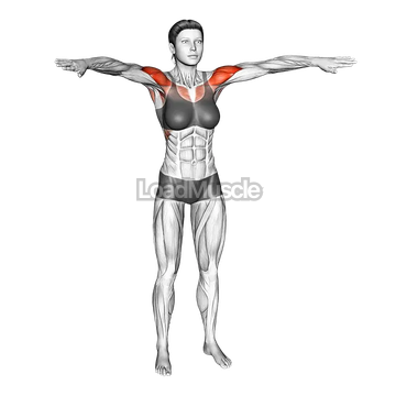 Palm-up Palm down Rotation