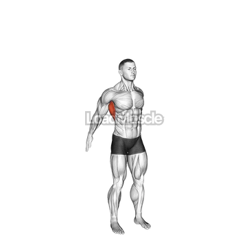 Dynamic Back Stretch