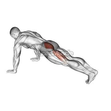 Hip Extension Stretch