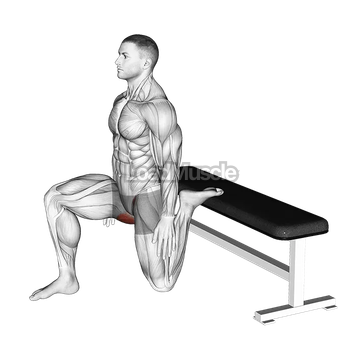 Hip Flexor Stretch Rear foot elevated