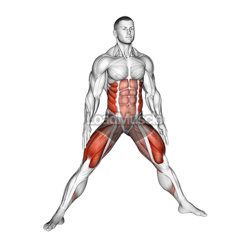 Plyo Side Lunge Stretch