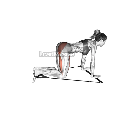 Bar Band Kneeling Single Leg Kick