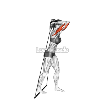 Bar Band Standing Triceps Extension