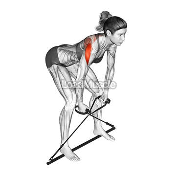 Bar Band Bent Over Rear Delt Fly