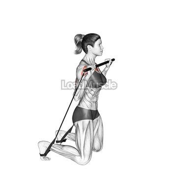 Bar Band Kneeling Incline Press