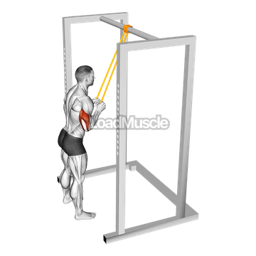 Resistance Band Triceps Pushdown