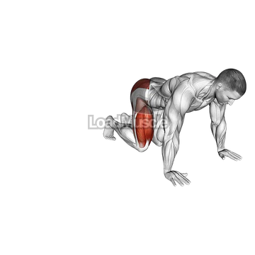 Kneeling Side Leg to Kick