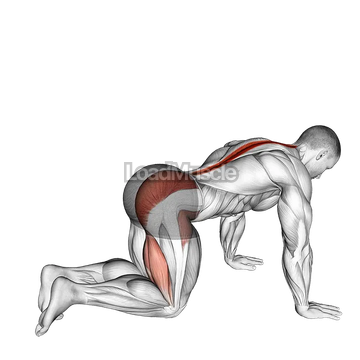 Bent Knee Back to Side Kick