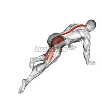 Kneeling Leg Half Circle