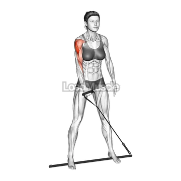 Bar Band Standing Single Arm Upright Row