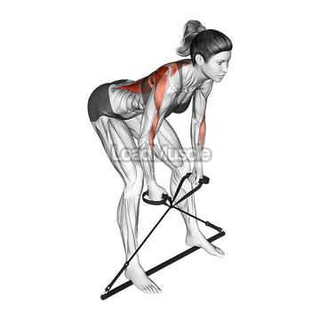 Bar Band Bent Over Row