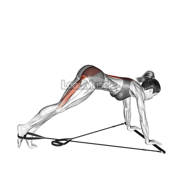 Bar Band Single Leg Reverse Hyperextension
