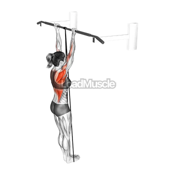 Band Assisted Chin Up