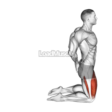 Bodyweight Kneeling Sissy Squat