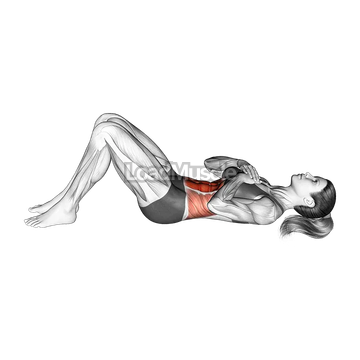 Crunch (arms on chest)