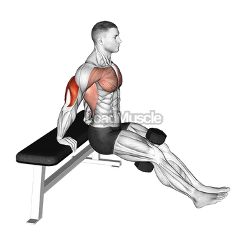 Dumbbell Bench Dip