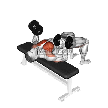 Dumbbell Bridge Bench Press