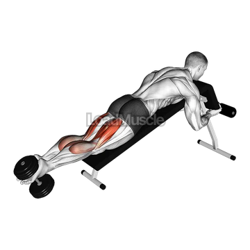 Dumbbell Decline Lying Leg Curl