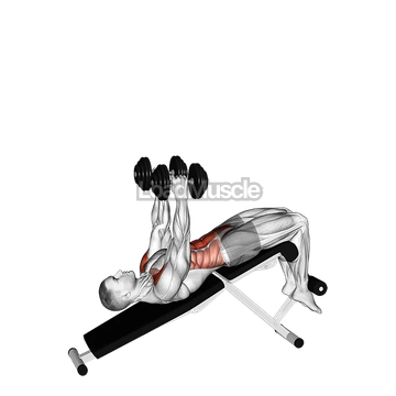 Dumbbell Decline Overhead Sit up