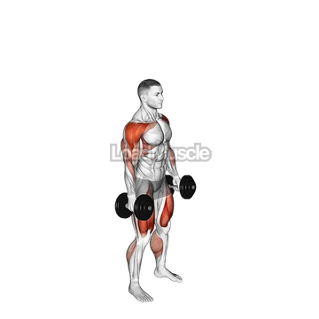 Dumbbell Hang Power Clean and Jerk