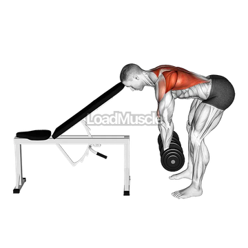Dumbbell Head Supported Row
