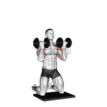 Dumbbell Kneeling Arnold Press