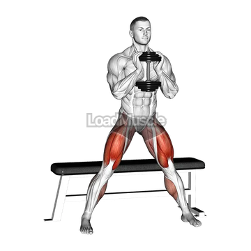 Dumbbell Side Bench Squat