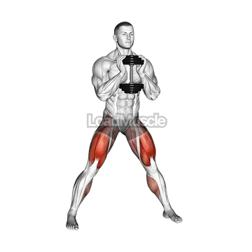 Dumbbell Side Squat